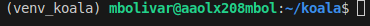 ../_images/venv-activated.png