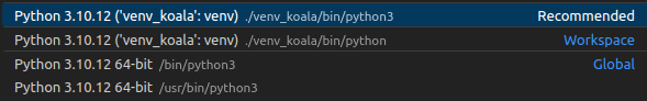 ../_images/vscode_venv.png